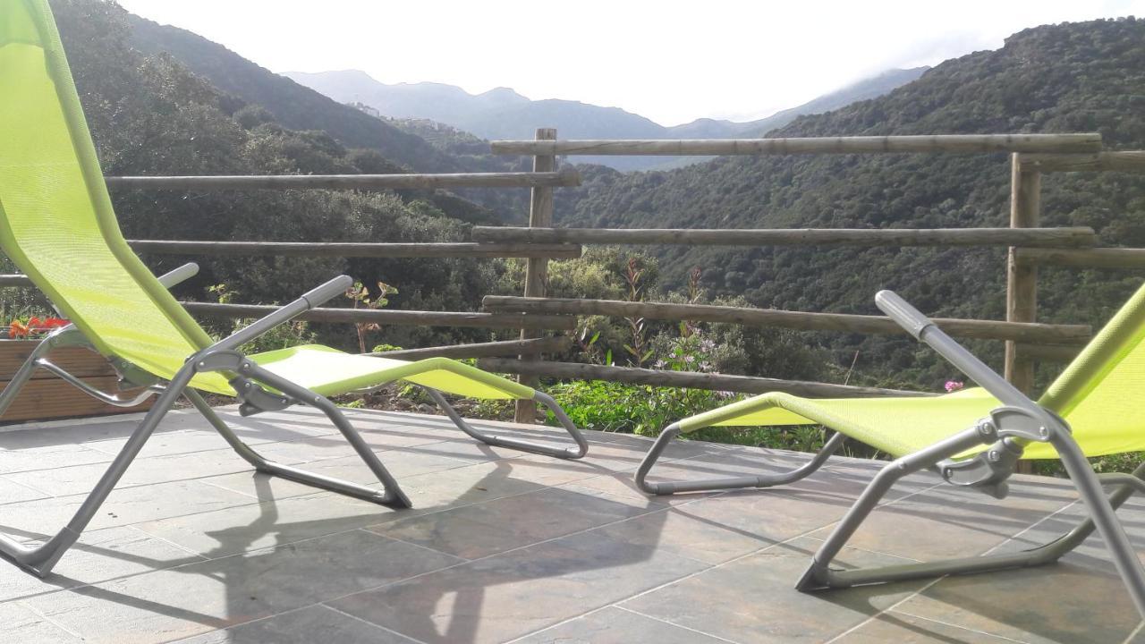 Appartement Giannoni San-Martino-di-Lota Ngoại thất bức ảnh