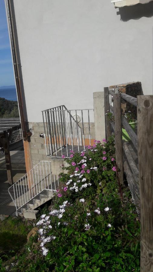Appartement Giannoni San-Martino-di-Lota Ngoại thất bức ảnh
