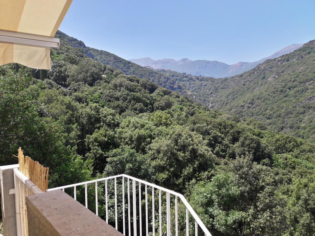 Appartement Giannoni San-Martino-di-Lota Ngoại thất bức ảnh